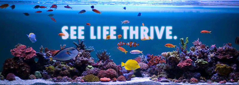 see life thrive with XM Lighitng Products
